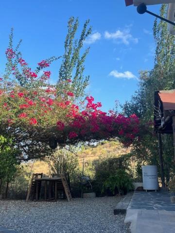 Finca El Remanso De Marta Málaga Exterior foto
